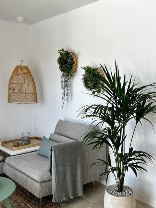 פלאיה בלנקה Lovely Casita Jade מראה חיצוני תמונה