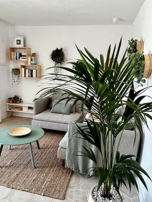 פלאיה בלנקה Lovely Casita Jade מראה חיצוני תמונה